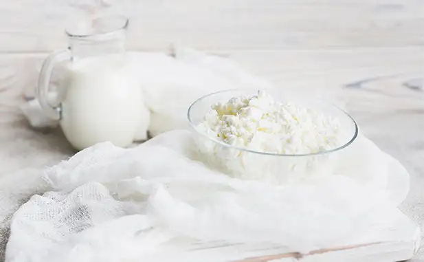 yogurt